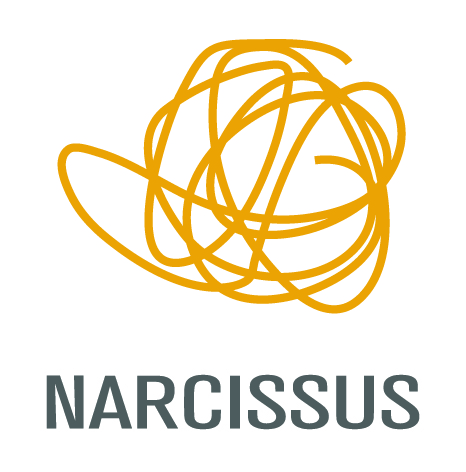 Logo der Self-Publishing-Plattform Narcissus.me - eBook-Distribution
